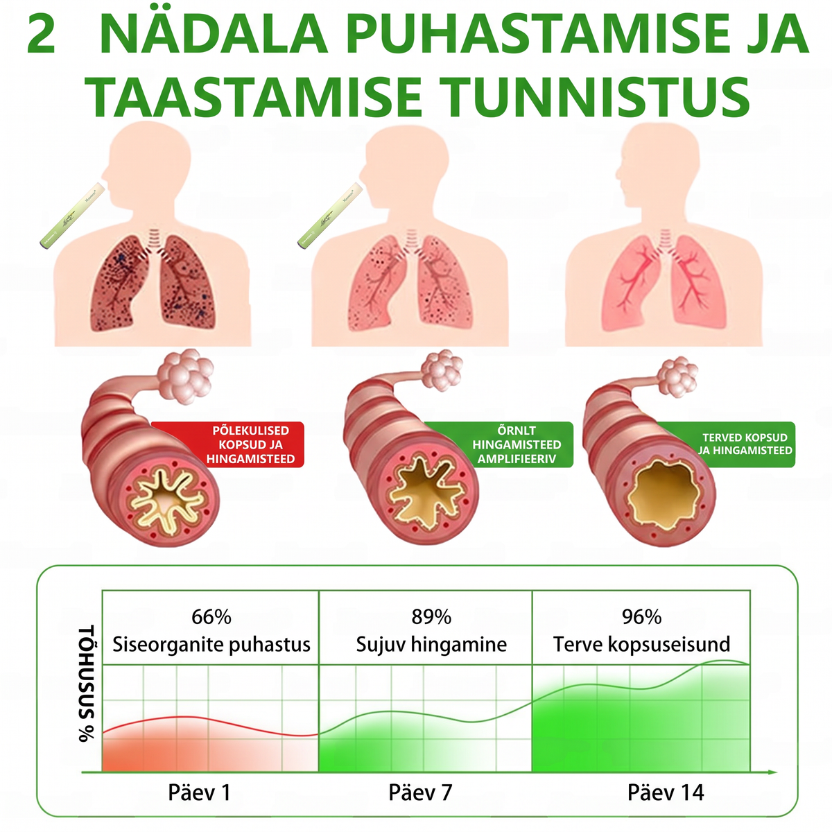 Tipptasemel eesti toode koduse kohaletoimetamisega 🥇 Murwon® taimne aurinhalaator kopsude puhastamiseks 🌽 Tõhus abi köha, kurgupõletiku, hingamisraskuste, lima, nohu, bronhiidi ja allergiate korral ❤️