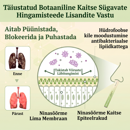 Tipptasemel eesti toode koduse kohaletoimetamisega 🥇 Murwon® taimne aurinhalaator kopsude puhastamiseks 🌽 Tõhus abi köha, kurgupõletiku, hingamisraskuste, lima, nohu, bronhiidi ja allergiate korral ❤️