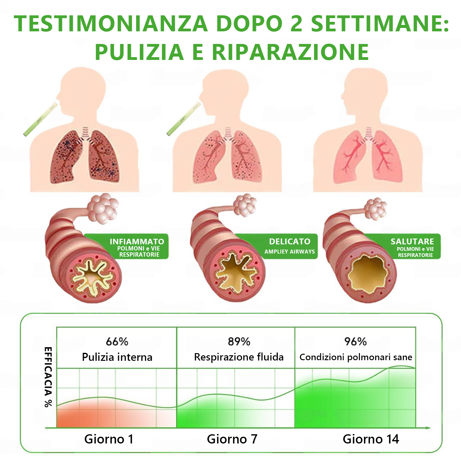 Acquistane 2 e ricevi 2 in omaggio🔥4 pezzi (✨Terapia di consolidamento✨)